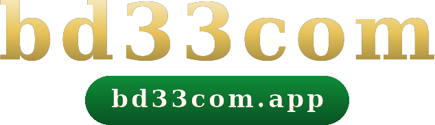 bd33com logo